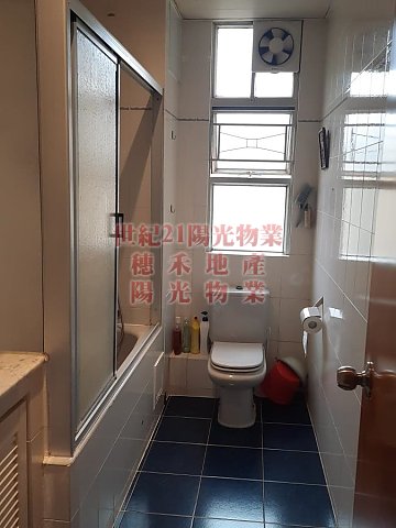 HONG LAM COURT  Shatin H S020009 For Buy