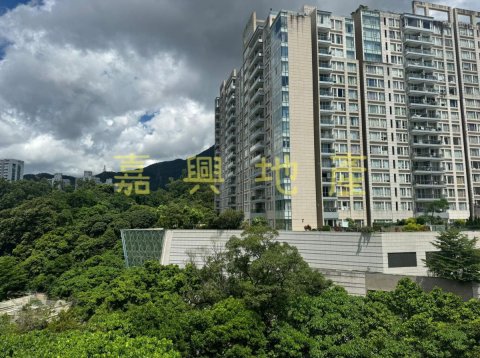 銅鑼灣新村 95080030