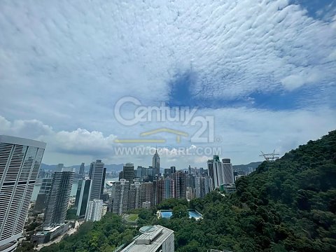 寶雲殿 中半山 高層 M201901 售盤