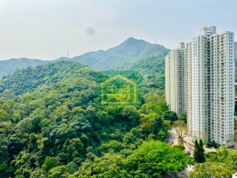 MAY SHING COURT Shatin H T174824 For Buy