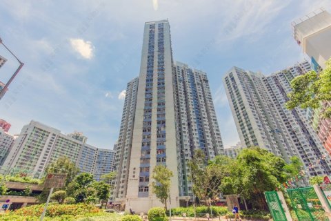 宝林村 将军澳 低层 1700078 售盘
