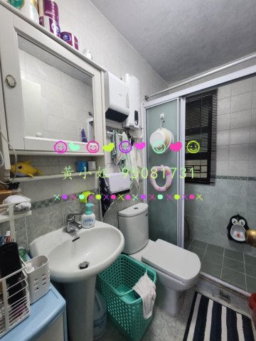 新屋家村  95081731