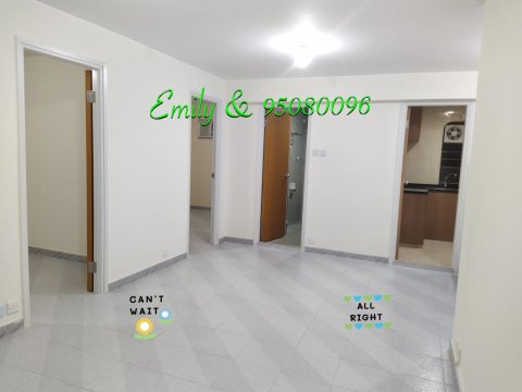 大圍新村 @ EMILY 95080096