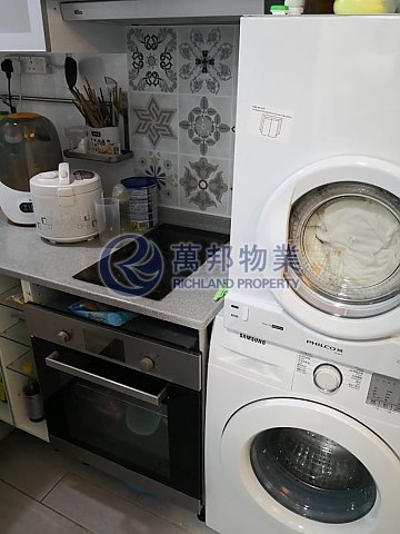 美丰花园 大埔 低层 R139293 售盘