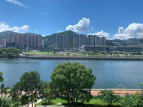 碧涛花园 沙田 S028529 售盘