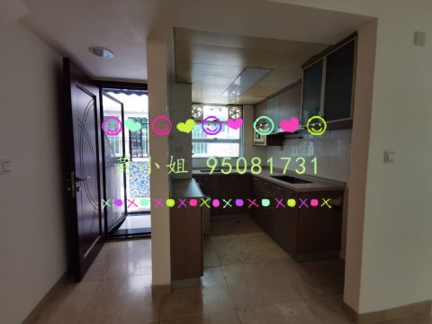 新屋家村 大埔 地下 G128221 售盘