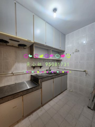 95081731