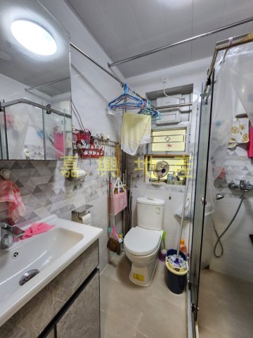 洞梓圍下村 95080030