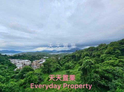 柳濤軒