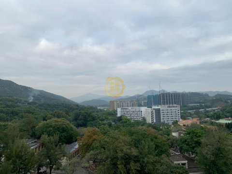 帝御金灣 