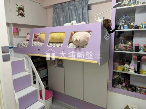 大埔中心  