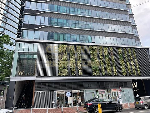 W LUXE 沙田 高層 C142062 售盤