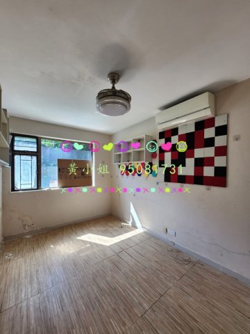 新屋家村  95081731