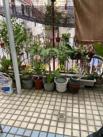 下禾輋村 95080030