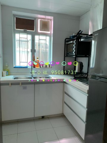 洞梓山路  95081731