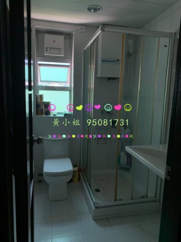 洞梓山路  95081731