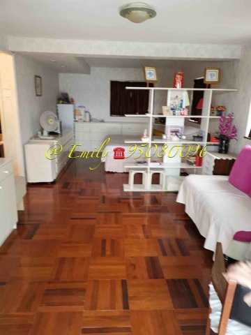 牛皮沙新村 @ EMILY 95080096