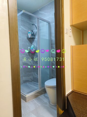 泰亨祠棠村  95081731