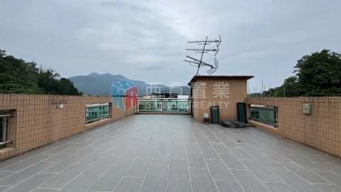 南圍