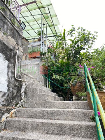 排頭村 @ EMILY 95080096