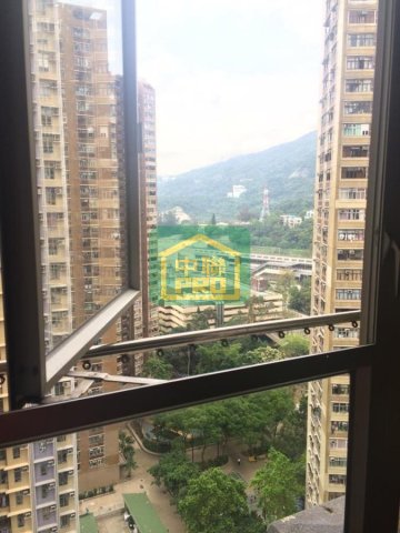 嘉径苑 沙田 T167078 售盘