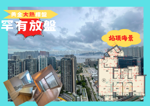 天晋 将军澳 高层 1701998 售盘