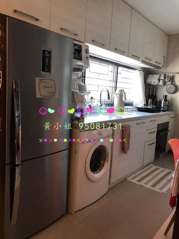 95081731