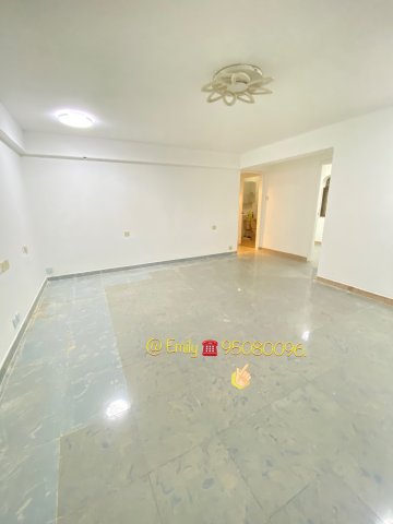 大圍新村 @ EMILY 95080096