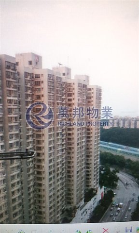 YAT NGA COURT
