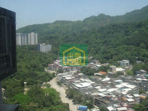 金狮花园 沙田 T012595 售盘