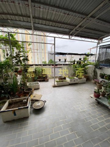 下禾輋村 95080030