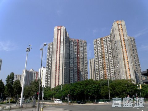 天平村 上水 中層 1647608 售盤