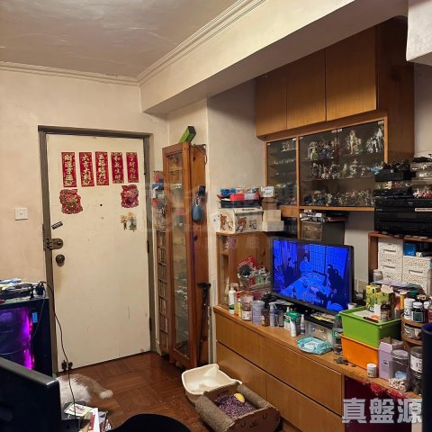 花园城 沙田 高层 1698840 售盘