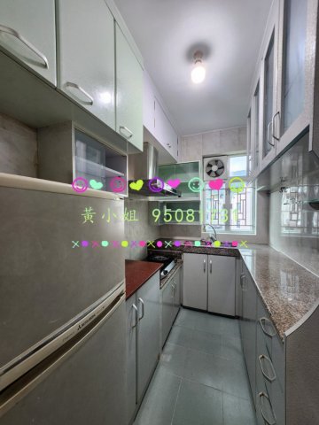 林村新村  95081731