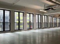 THE WHITNEY () THE WHITNEY ()