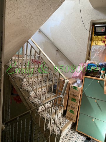 大圍舊村 @ EMILY 95080096