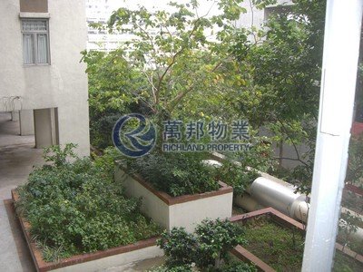 大埔廣場