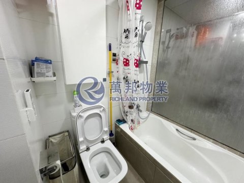 嵐山 大埔 高層 R164251 售盤