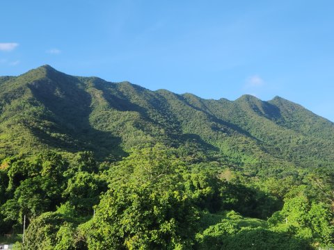 汀角村