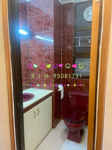 洞梓   95081731