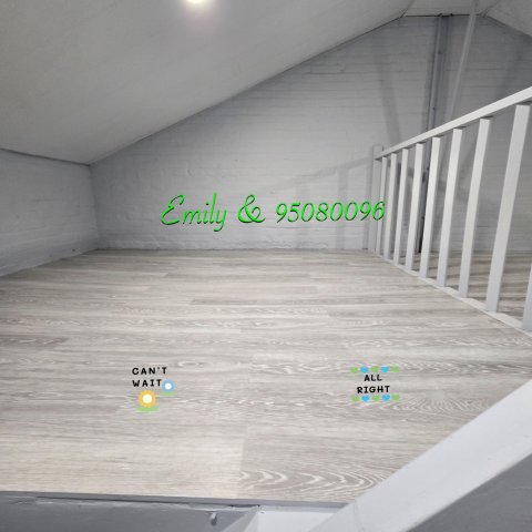 曾大屋舊村 @ EMILY 95080096