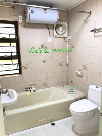 大圍新村 @ EMILY 95080096