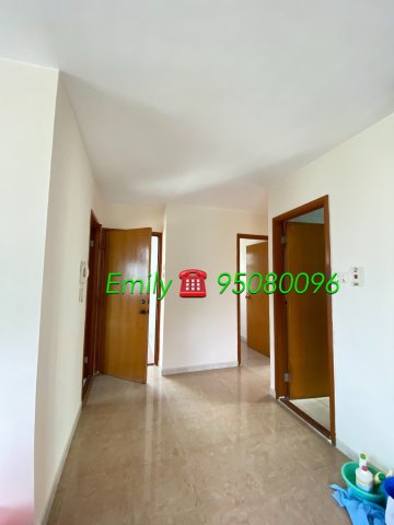 樟樹灘 @ EMILY 95080096