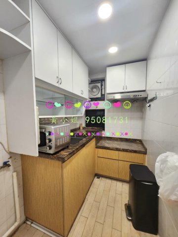 泰亨豪園   95081731