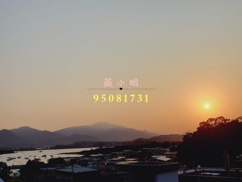 龍尾村  95081731