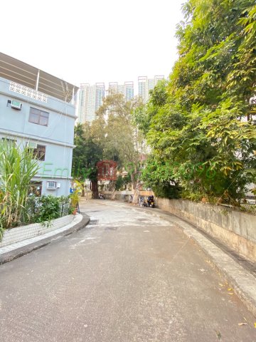 田心村 @ EMILY 95080096