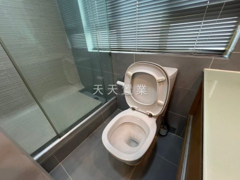 早禾坑