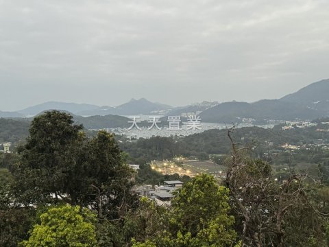 柳濤軒 西貢 014738 售盤