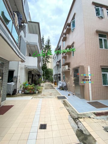 顯田村 沙田 A039250 售盤