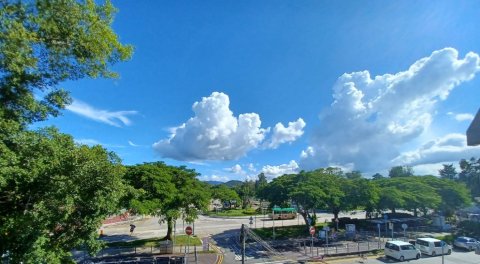 95081731 車入花園